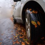 driving during fall